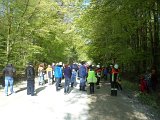 Maibaum_2016 (64).JPG